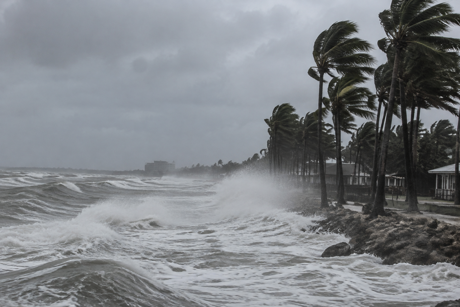 Isaias becomes Atlantic season's first hurricane, heads toward U.S. Gulf Coast