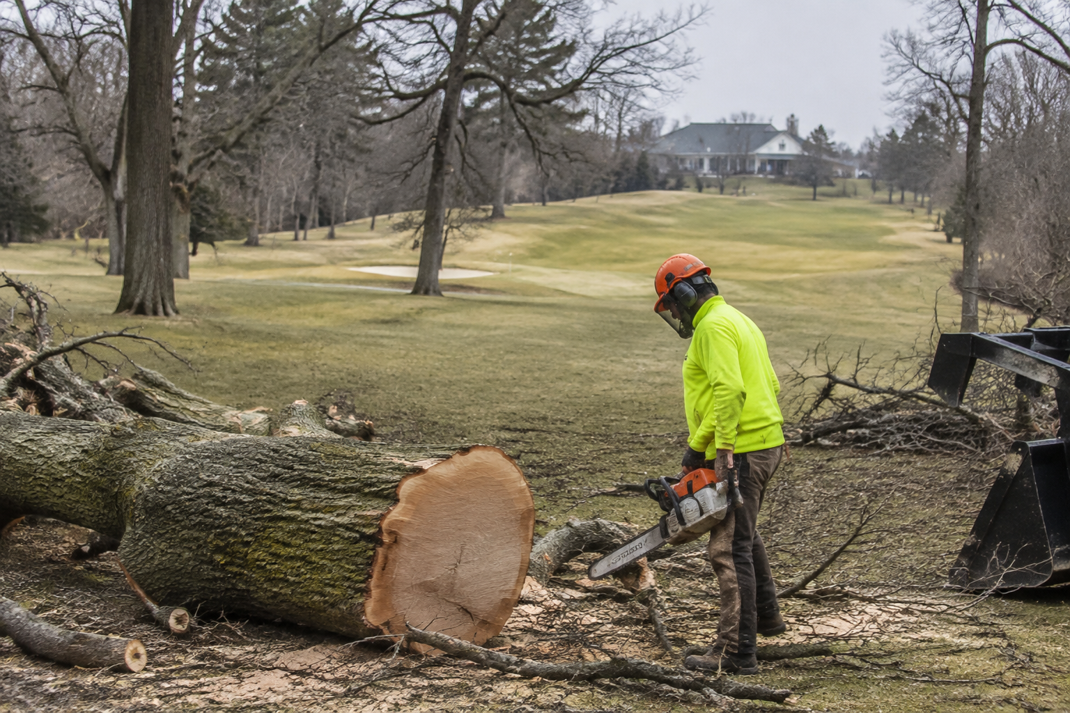 Over 500 Trees Face Removal at D.C. Golf Club Trump Wants to Redesign