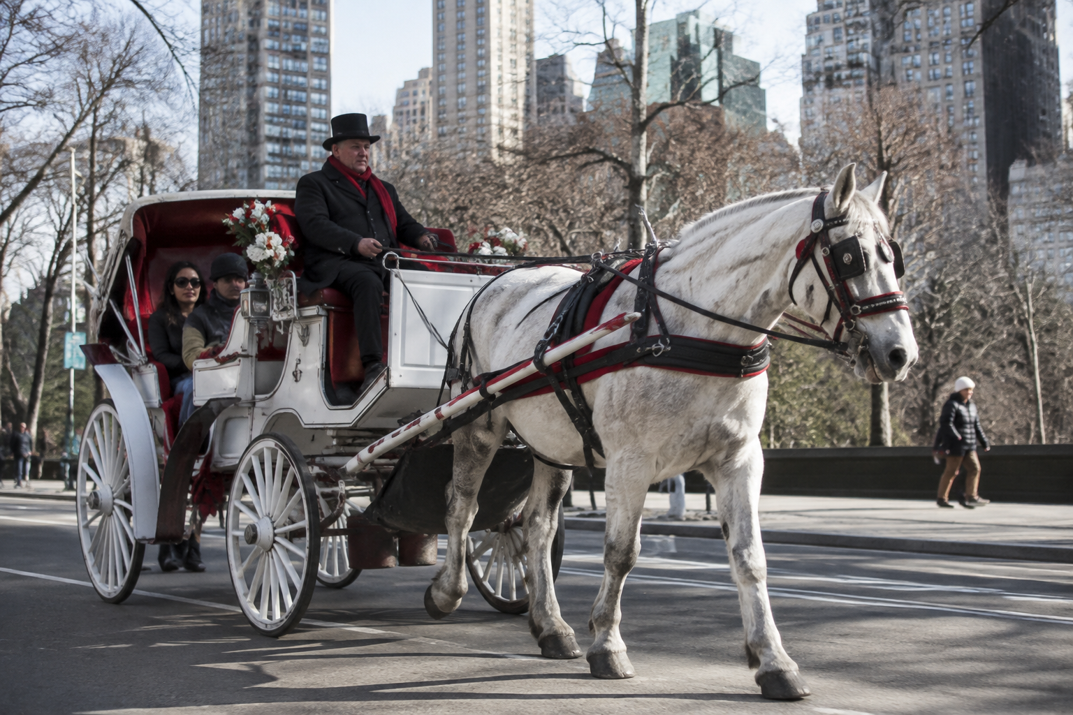 New York City Horse Carriages Expected to Be Banned