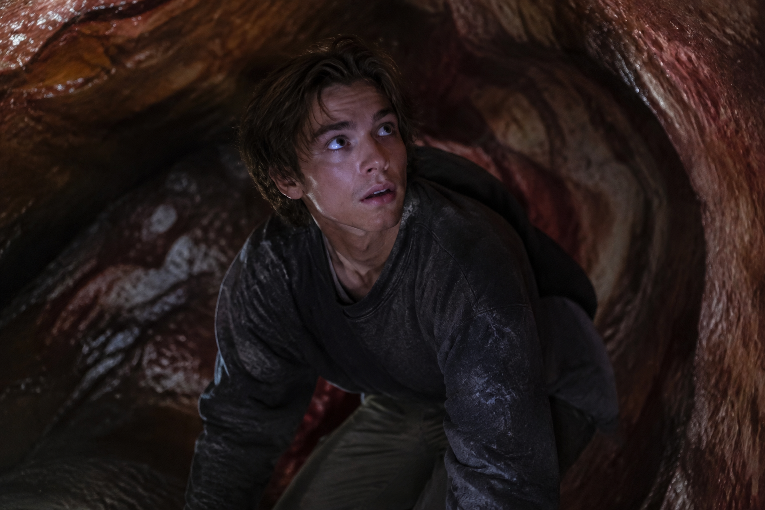 ‘Whalefall’ Review: Austin Abrams Stars in a Family Drama Inside a Mammal
