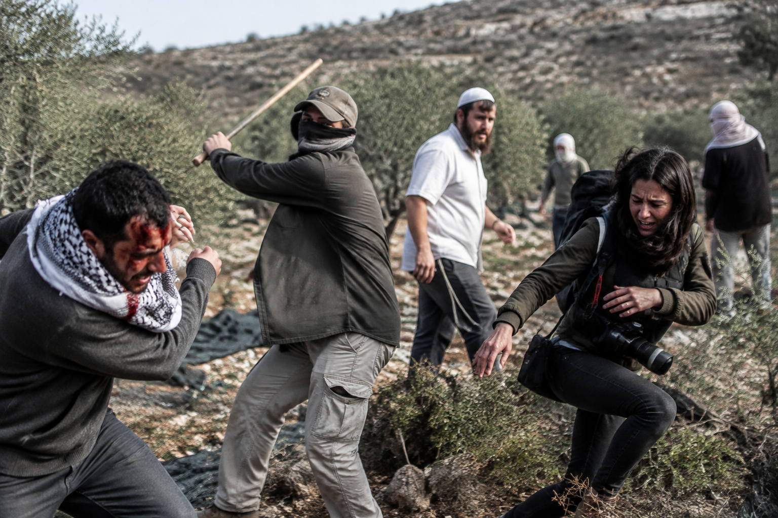 Israeli settlers injure Palestinians and US journalist in West Bank olive harvest attack