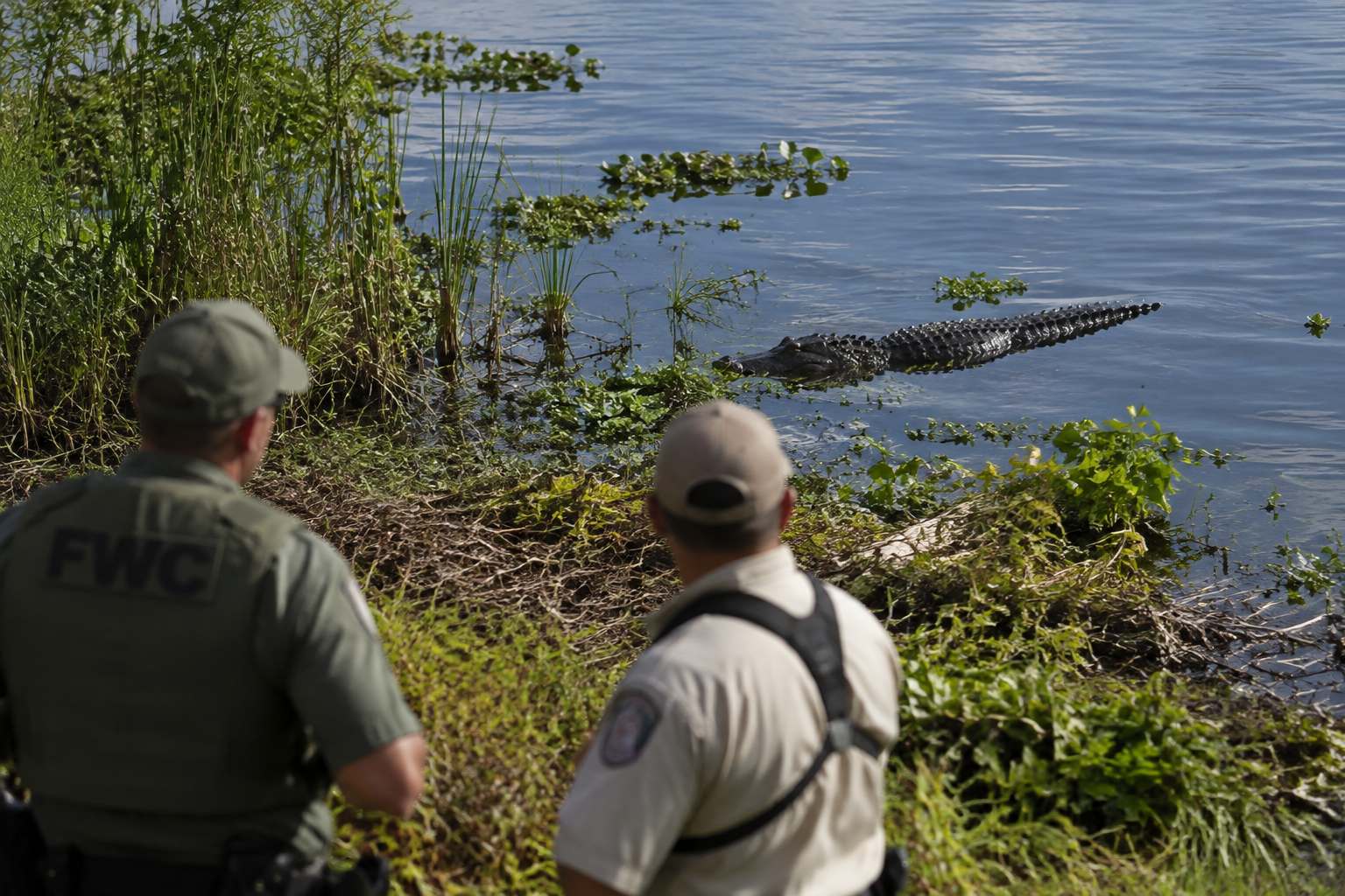 71-Year-Old Man Killed by Alligator While Fishing Near Florida's Lake Apopka