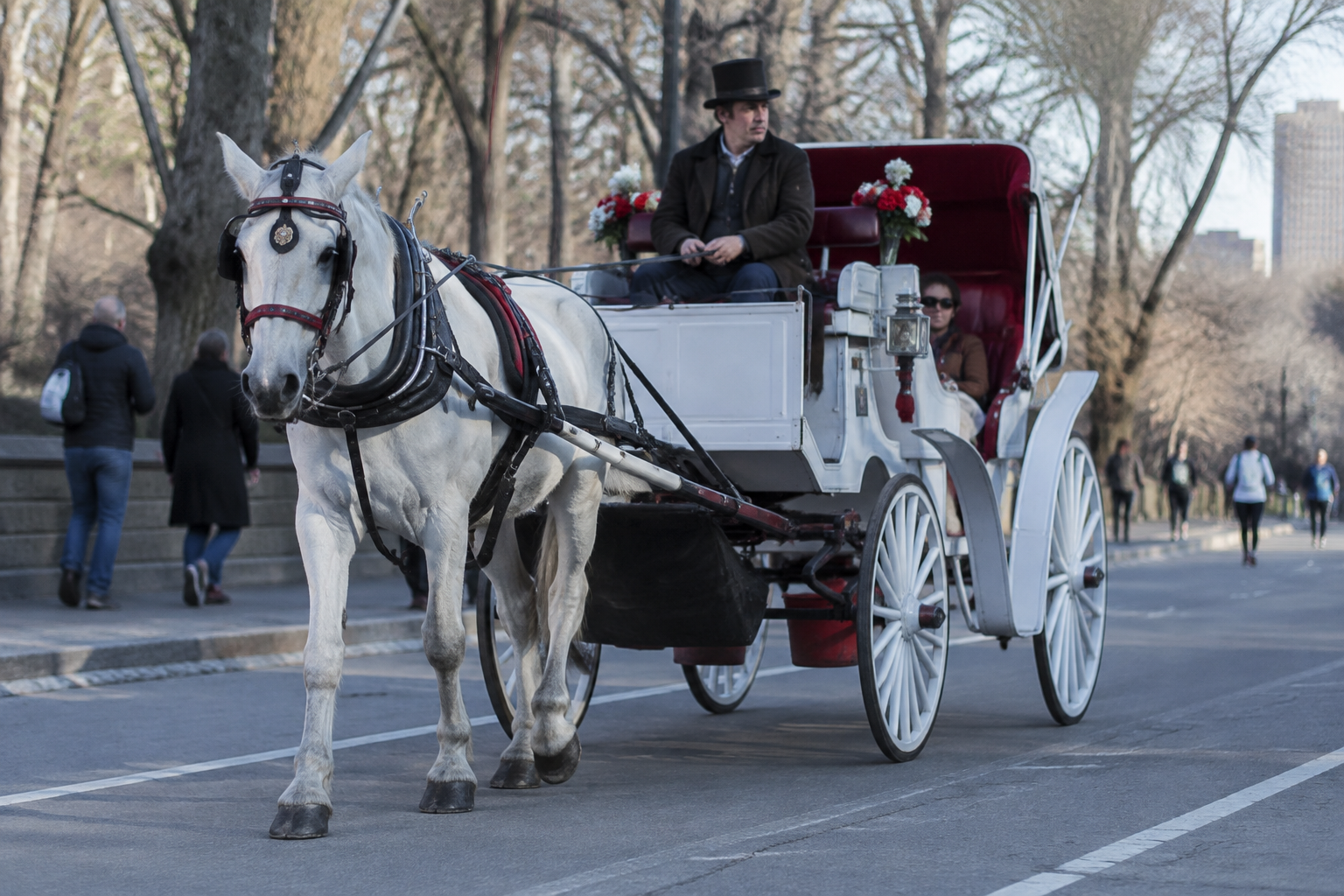 New York Horse-Drawn Carriage Ban Plan Divides Central Park Opinion